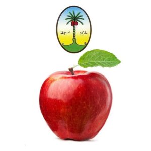 Nakhla Apple Luxury Flavor