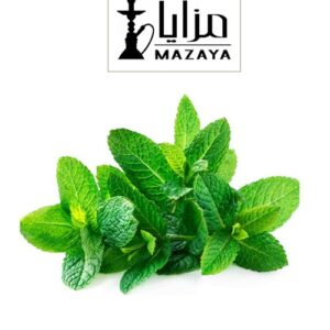 Mazaya Mint Flavor