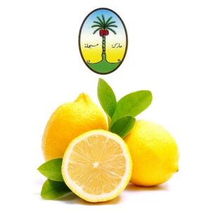 Nakhla Lemon Mint Luxury Flavor